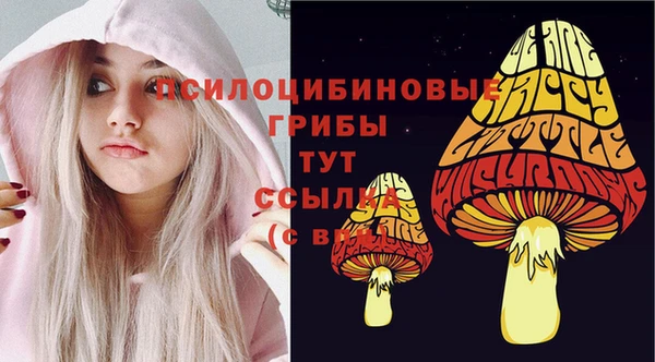 бошки Осташков